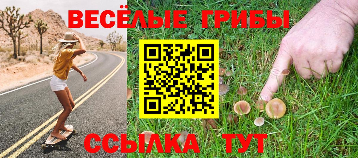 Волгодонск  Псилоцибиновые грибы GOLDEN TEACHER  Вход с VPN 